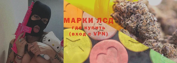 spice Аркадак