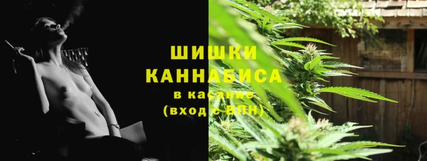 шишки Арсеньев