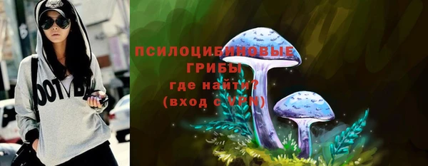 шишки Арсеньев