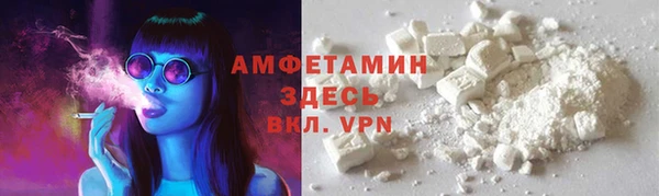 шишки Арсеньев