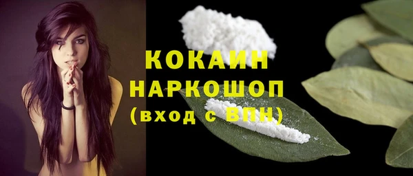 spice Аркадак