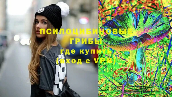 шишки Арсеньев