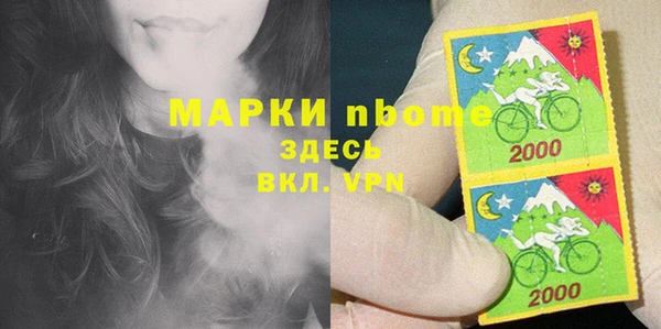 шишки Арсеньев