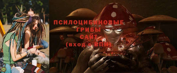 spice Аркадак