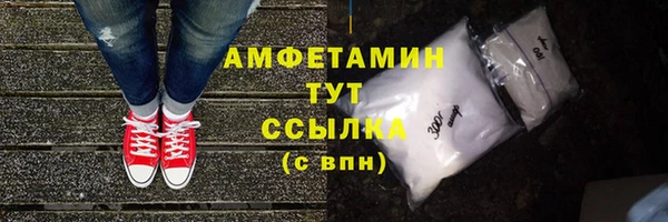 шишки Арсеньев