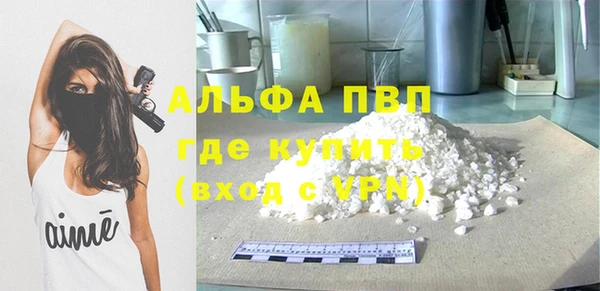 шишки Арсеньев