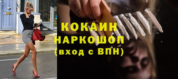 шишки Арсеньев