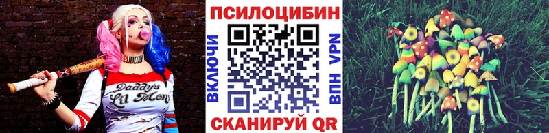 Галлюциногенные грибы Psilocybe  как найти наркотики  Грязи 
